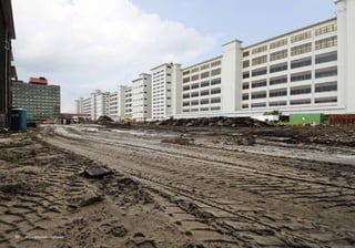 50   organisatorisch ––cultureel
      organisatorisch cultureel
 