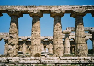 60   organisatorisch – cultureel
 