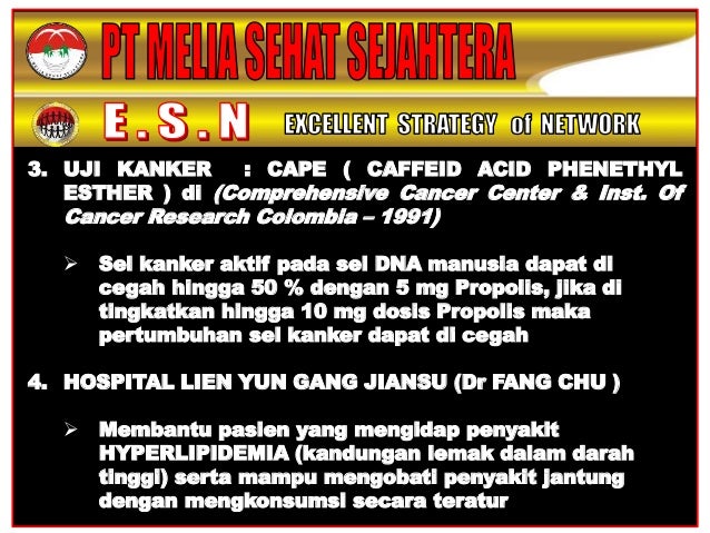 Presentasi Bisnis Melia Sehat Sejahtera