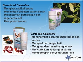 Beneficial Capsules
- Mengikat radikal bebas
- Menambah oksigen dalam darah
- Melancarkan pernafasan dan
  regenerasi sel
- Mengatasi kanker



                   Chitosan Capsules
                   - Menghambat pertumbuhan tumor dan
                     kanker
                   - Memperkuat fungsi hati
                   - Mengikat dan membuang lemak
                   - Menstabilkan kadar gula darah
                   - Mempercepat penyembuhan luka
 