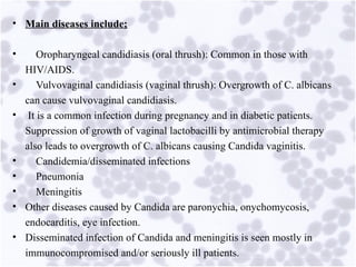 Comprehensive Overview of Opportunistic Mycoses and Candidiasis ...
