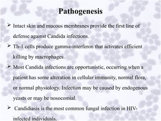Comprehensive Overview of Opportunistic Mycoses and Candidiasis ...