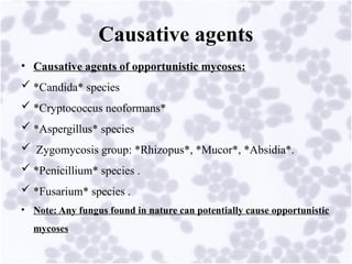 Comprehensive Overview of Opportunistic Mycoses and Candidiasis ...