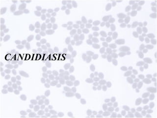 Comprehensive Overview of Opportunistic Mycoses and Candidiasis ...