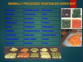 MINIMALLY PROCESSED VEGETABLES UNDER MAP
Ash gourd Coriander leaves Mint leaves
Beet root Curry leaves Okra
Beans Cucumber Onion
Bitter gourd Drumsticks Plantain
Carrot Field Beans Ridge gourd
Cabbage Fenugreek leaves Snake gourd
Cauliflower Green peas Spinach leaves
Cluster beans Green chillies Tomato
Coccinia Knol-khol Turnip
 