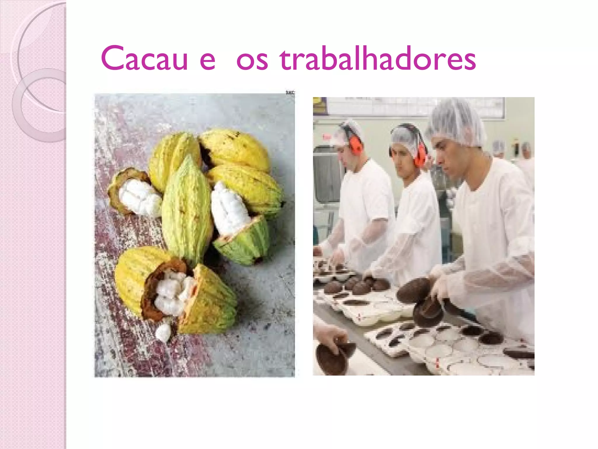 Cacau e os trabalhadores
 