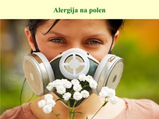Alergija na polen
 