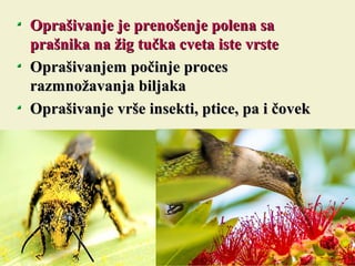Oprašivanje je prenošenje polena saOprašivanje je prenošenje polena sa
prašnika na žig tučka cveta iste vrsteprašnika na žig tučka cveta iste vrste
Oprašivanjem počinje procesOprašivanjem počinje proces
razmnožavanja biljakarazmnožavanja biljaka
Oprašivanje vrše insekti, ptice, pa i čovekOprašivanje vrše insekti, ptice, pa i čovek
 