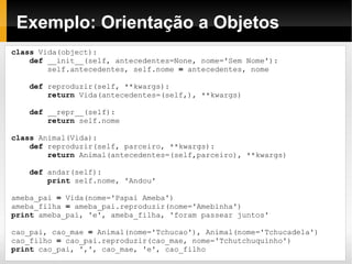 Programador Python do Ano em 2009 