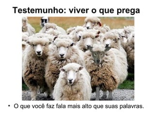 Testemunho: viver o que prega




• O que você faz fala mais alto que suas palavras.
 
