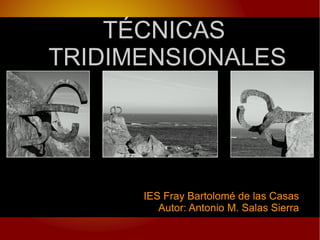 TÉCNICAS TRIDIMENSIONALES IES Fray Bartolomé de las Casas Autor: Antonio M. Salas Sierra 