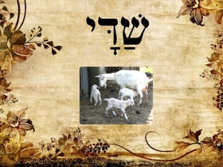 ‫די‬‫ד‬ ‫ש‬‫ש‬
 