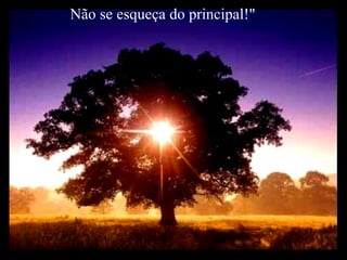 Não se esqueça do principal!" 