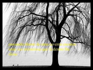 passando diante de uma caverna escutou uma voz misteriosa que lá dentro lhe dizia: 