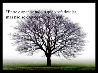 "Entre e apanhe tudo o que você desejar, mas não se esqueça do principal.  