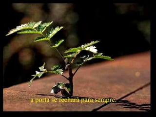 a porta se fechará para sempre.   