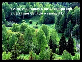 Assim, esgotamos o nosso tempo aqui, e deixamos de lado o essencial: 