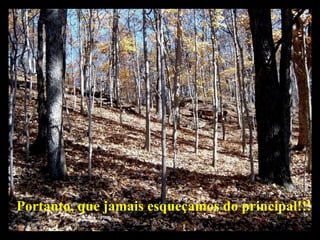 Portanto, que jamais esqueçamos do principal!!!   