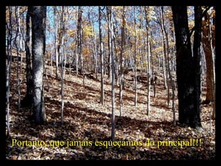 Portanto, que jamais esqueçamos do principal!!!   