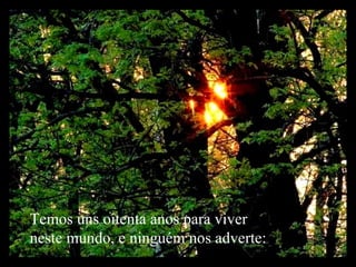 Temos uns oitenta anos para viver neste mundo, e ninguém nos adverte:  