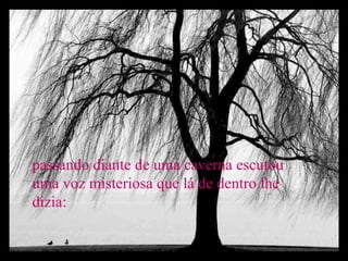 passando diante de uma caverna escutou uma voz misteriosa que lá de dentro lhe dizia: 