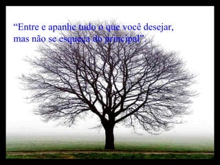 “ Entre e apanhe tudo o que você desejar, mas não se esqueça do principal”.   