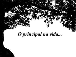 O principal na vida...
 