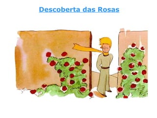 Descoberta das Rosas
 