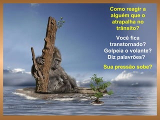 Como reagir a alguém que o atrapalha no trânsito? Você fica transtornado? Golpeia o volante? Diz palavrões?  Sua pressão sobe? . 