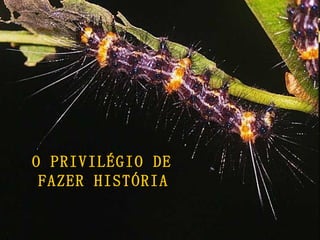 O PRIVILÉGIO DE  FAZER HISTÓRIA   