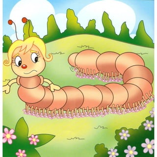 O Problema da Centopéia Zilá