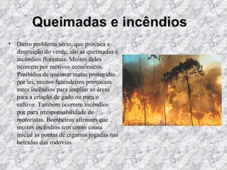 Queimadas e incêndios    Outro problema sério, que provoca a destruição do verde, são as queimadas e incêndios florestais. Muitos deles ocorrem por motivos econômicos. Proibidos de queimar matas protegidas por lei, muitos fazendeiros provocam estes incêndios para ampliar as áreas para a criação de gado ou para o cultivo. Também ocorrem incêndios por pura irresponsabilidade de motoristas. Bombeiros afirmam que muitos incêndios tem como causa inicial as pontas de cigarros jogadas nas beiradas das rodovias.   
