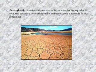Desertificação :  A retirada de matas associada a manejos inadequados do solo, tem causado a desertificação dos ambientes, onde a ausência de vida predomina.  