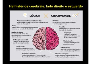 Hemisférios cerebrais: lado direito e esquerdo
 