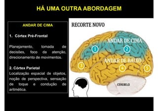HÁ UMA OUTRA ABORDAGEM
ANDAR DE CIMA
1. Córtex Pré-Frontal
Planejamento, tomada de
decisões, foco da atenção,
direcionamento de movimentos.
2. Córtex Parietal
Localização espacial de objetos,
noção de perspectiva, sensação
de toque e condução de
aritmética.
 