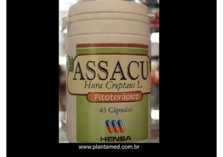 www.plantamed.com.br
 