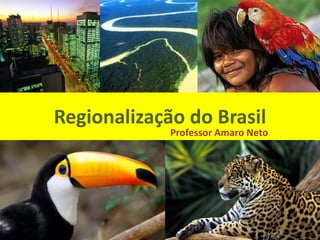 Regionalização do Brasil
Professor Amaro Neto
 