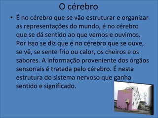 O cérebro É no cérebro que se vão estruturar e organizar as representações do mundo, é no cérebro que se dá sentido ao que vemos e ouvimos. Por isso se diz que é no cérebro que se ouve, se vê, se sente frio ou calor, os cheiros e os sabores. A informação proveniente dos órgãos sensoriais é tratada pelo cérebro. É nesta estrutura do sistema nervoso que ganha sentido e significado. 