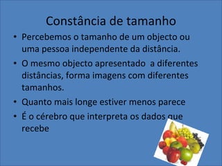 Constância de tamanho Percebemos o tamanho de um objecto ou uma pessoa independente da distância. O mesmo objecto apresentado  a diferentes distâncias, forma imagens com diferentes tamanhos. Quanto mais longe estiver menos parece É o cérebro que interpreta os dados que recebe  