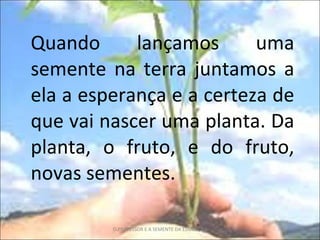 Quando lançamos uma semente na terra juntamos a ela a esperança e a certeza de que vai nascer uma planta. Da planta, o fruto, e do fruto, novas sementes. O PROFESSOR E A SEMENTE DA EDUCAÇÃO 