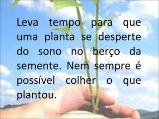 Leva tempo para que uma planta se desperte do sono no berço da semente. Nem sempre é possível colher o que plantou. O PROFESSOR E A SEMENTE DA EDUCAÇÃO 
