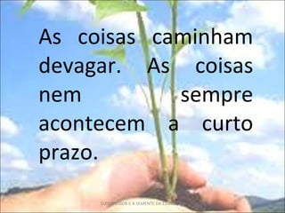 As coisas caminham devagar. As coisas nem sempre acontecem a curto prazo. O PROFESSOR E A SEMENTE DA EDUCAÇÃO 
