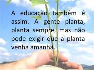 A educação também é assim. A gente planta, planta sempre, mas não pode exigir que a planta venha amanhã. O PROFESSOR E A SEMENTE DA EDUCAÇÃO 
