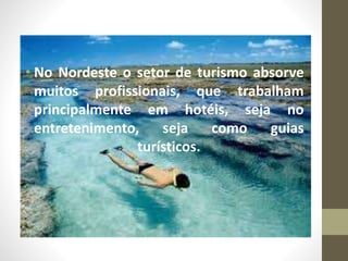 • No Nordeste o setor de turismo absorve
muitos profissionais, que trabalham
principalmente em hotéis, seja no
entretenimento, seja como guias
turísticos.
 