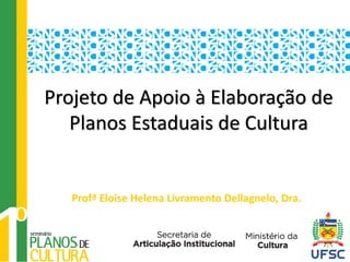 Projeto de Apoio à Elaboração de
   Planos Estaduais de Cultura


   Profª Eloise Helena Livramento Dellagnelo, Dra.
 