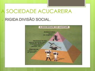A SOCIEDADE ACUCAREIRA 
● RIGIDA DIVISÃO SOCIAL. 
 