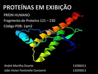 PRÍON HUMANO
Fragmento de Proteína 121 – 230
Código PDB: 1qm2




André Morilha Duarte              11036411
João Victor Fontinelle Consonni   11035011
 