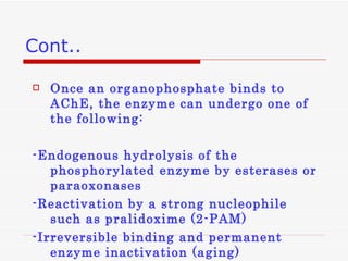 Cont.. Once an organophosphate binds to AChE, the enzyme can undergo one of the following: -Endogenous hydrolysis of the phosphorylated enzyme by esterases or paraoxonases  -Reactivation by a strong nucleophile such as pralidoxime (2-PAM)  -Irreversible binding and permanent enzyme inactivation (aging) 