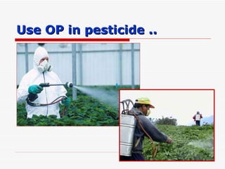 Use OP in pesticide .. 