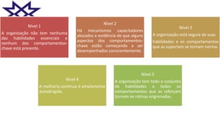 Nível 1
A organização não tem nenhuma
das habilidades essenciais e
nenhum dos comportamentos-
chave está presente.
Nível 2
Há mecanismos capacitadores
alocados e evidência de que alguns
aspectos dos comportamentos-
chave estão começando a ser
desempenhados conscientemente.
Nível 3
A organização está segura de suas
habilidades e os comportamentos
que as suportam se tornam norma.
Nível 4
A melhoria contínua é amplamente
autodirigida.
Nível 5
A organização tem todo o conjunto
de habilidades e todos os
comportamentos que as reforçam
tornam-se rotinas engrenadas.
 